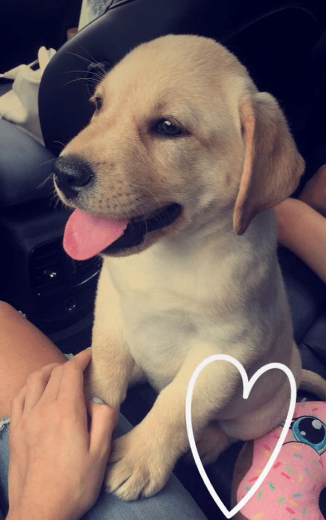 A Butz-Webb Against&nbsp;Hate