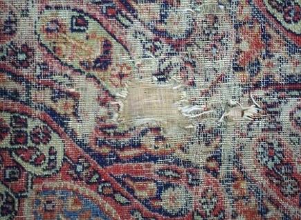 The Tapestry of Being