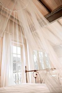 I am a Mosquito Net?